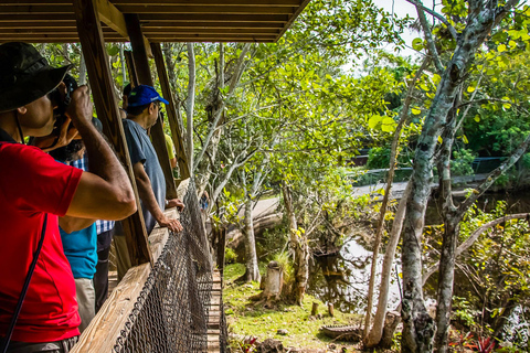 Miami: Excursión en hidrodeslizador por el Parque Safari de los Everglades