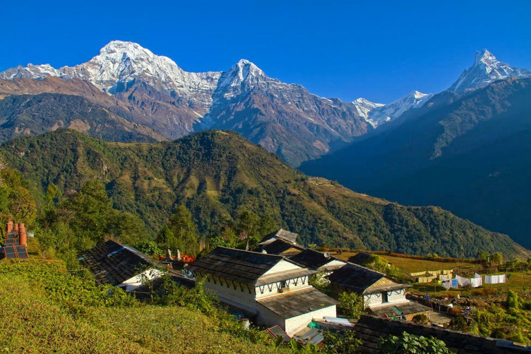 Ghorepani Poon Hill: Short Annapurna Trek from Pokhara