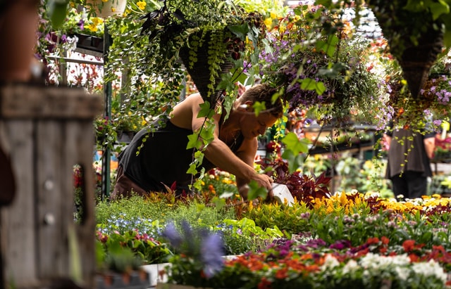 Montreal: Jean-Talon Market & Little Italy Highlights Tour