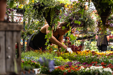 Montreal: Tour del mercato di Jean-Talon e della Little Italy