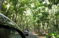 Banyuwangi, Private Car Charter with Professional Driver - Housity