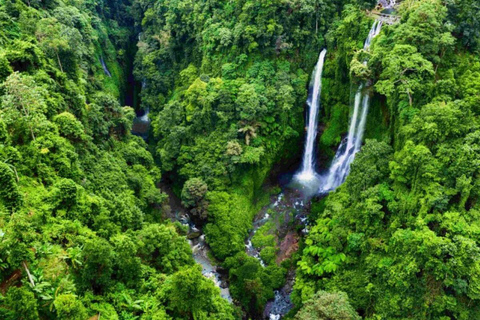 Bali: Lovina Dolphin Watching, Sekumpul Waterfall & Lunch Lovina Dolphin Watching, Sekumpul Waterfall & Lunch