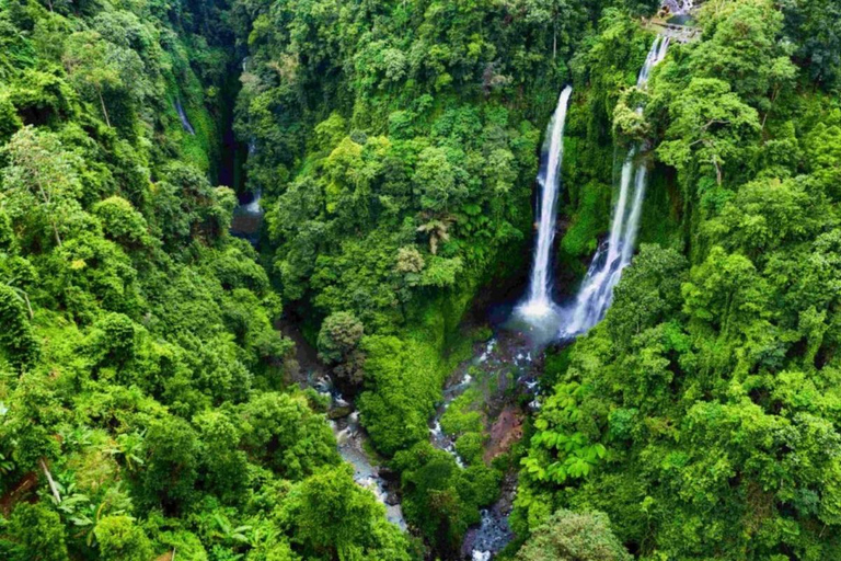 Bali: Lovina Dolphin Watching, Sekumpul Waterfall & Lunch Lovina Dolphin Watching, Sekumpul Waterfall & Lunch
