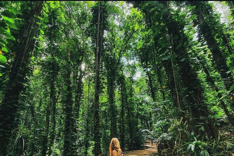 Galle Mirissa Tangalle Hiriketiya To Ella Adventure Transfer