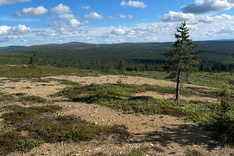 Saariselkä: Private National Park Walk with Cowboy Coffee