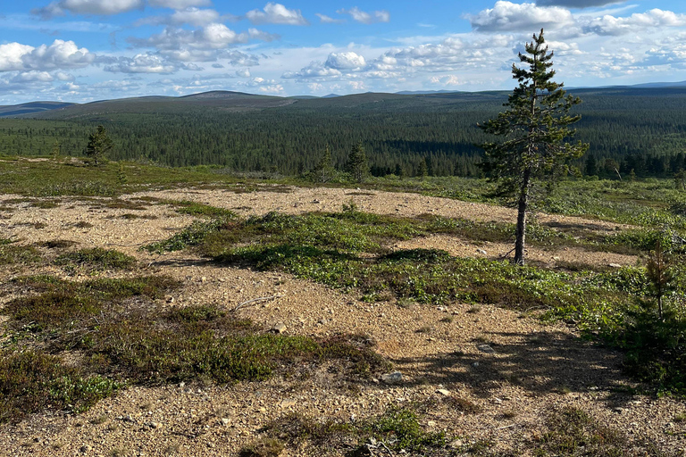 Saariselkä: Private National Park Walk with Cowboy Coffee