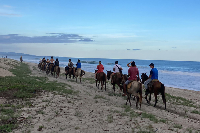 Sunset by Horse on the Beach