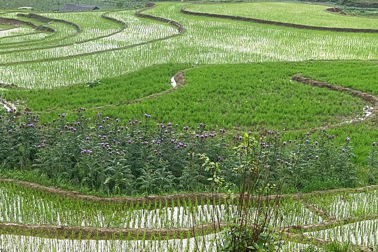 2-Day Sapa City Tour & Discover Fansipan Mountain From Hanoi