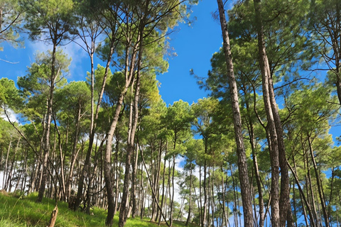 Champadevi: Hiking Tour with Kirtipur, Newari Lunch & Spa