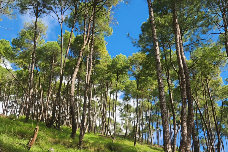 Champadevi: Hiking Tour with Kirtipur, Newari Lunch & Spa