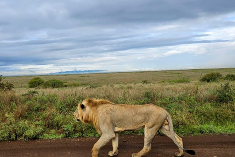 Nairobi: Excursión en grupo de 5 horas por el Parque NacionalSafari de medio día por el Parque Nacional de Nairobi