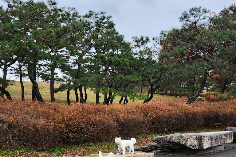Seúl: Servicios de un lugareño por un día (Trámites/Tour/Diversión)