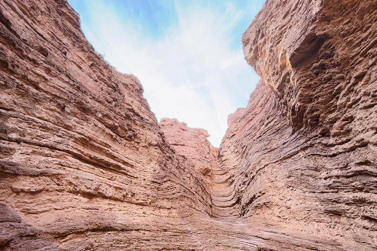 Cafayate: Tour de dia completo por bodegas y degustacion de vinos