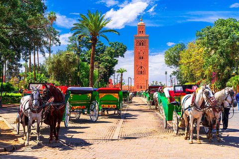 Marrakech: Bahia Palace, Madrasa Ben Youssef & Secret Garden Private Tour & Medina Pickup
