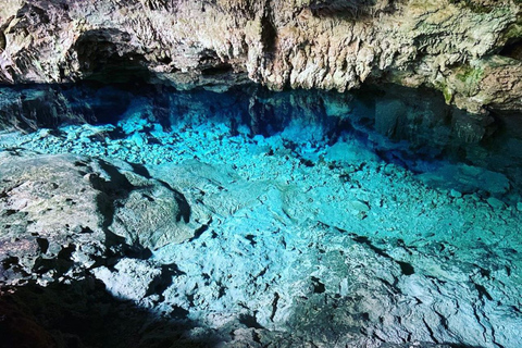 Tour dei delfini, grotta Kuza, spiaggia di Paje, The Rock, foresta di Jozani