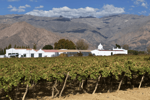 Salta Esencial: Excursión de 4 días con billete de avión opcionalRegular con billete de avión