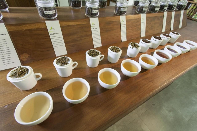 Tea Factory Tour with Tea Tasting , Pickup and Drop off
