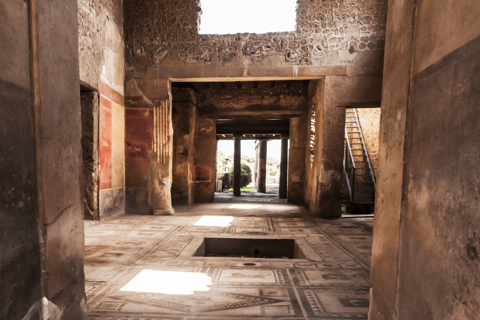 Da Roma: Tour di Pompei ed Ercolano con treno ad alta velocità