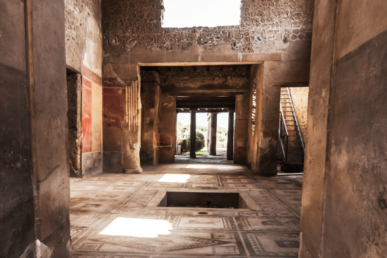 Vanuit Rome: Pompeii en Herculaneum Tour met hogesnelheidstrein