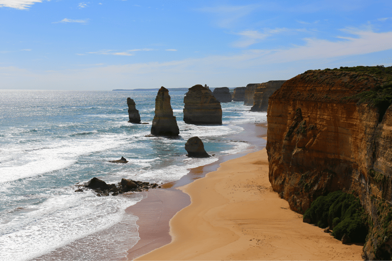 Från Melbourne: Great Ocean Road &amp; 12 Apostlar heldagstur