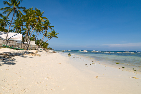 Da Cebu: escursione di un giorno ai punti salienti di Bohol