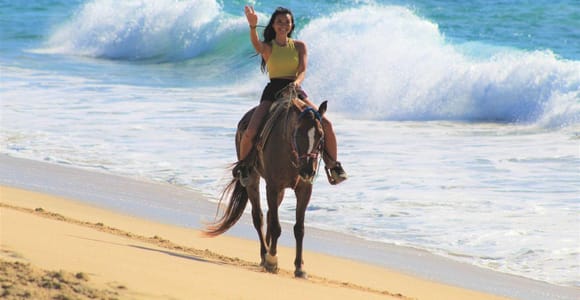 Cabo San Lucas: Horseback Riding Corredor Turistico
