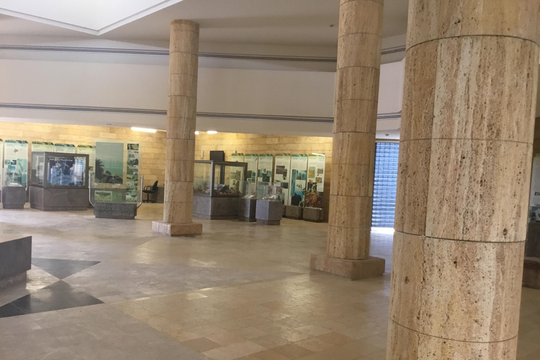 Amman: Ma’in Hot Springs and Dead Sea Panorama