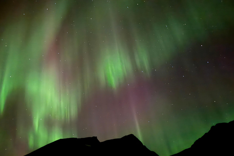 Tromsø: Private Northern Lights Chase by Mercedes V-class Tromsø: Express Private Northern Lights Chase