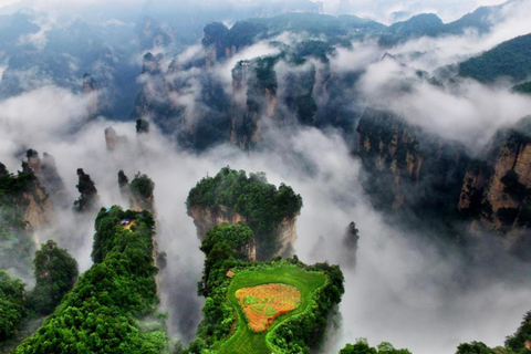 Private Zhangjiajie: Glass Bridge, Terraces & Avatar