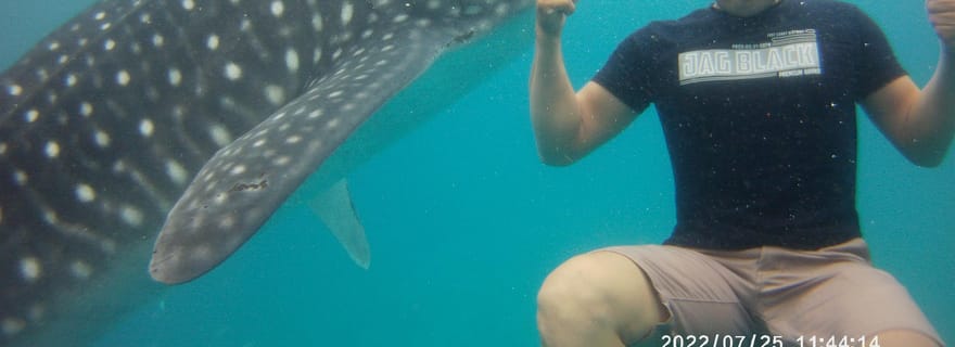 Cebu : Rencontre avec les requins-baleines, chutes de Tumalog et Sumilon Sandbar