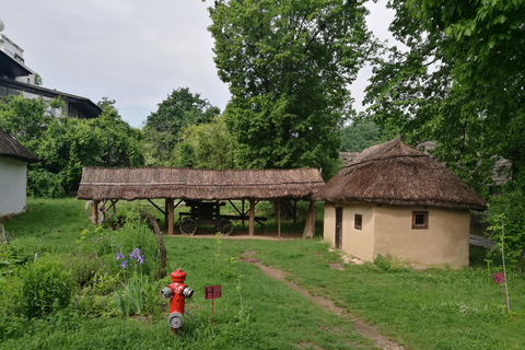 Bukarest: Village Museum Guidad tur