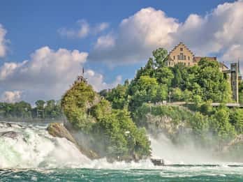 Von Zürich: Halbtagestour zu den Rheinfällen und nach Schaffhausen
