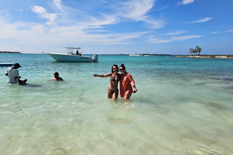 Plongée avec masque et tuba pour les tortues de Pig Beach, Nassau, Bahamas