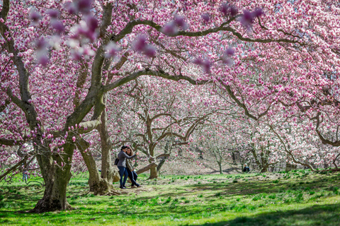 Jardín Botánico de Nueva York: ticket de accesoPase para todos los jardines