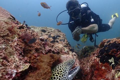 Exclusieve walvis- en dolfijnreizen in Sri Lanka: Trincomalee