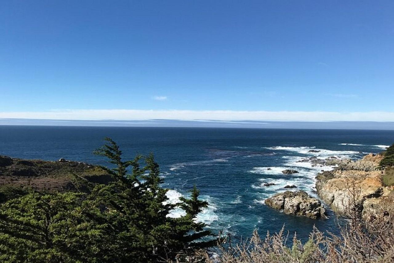 Best of Monterey Peninsula & Carmel-the-Sea Small Group Tour