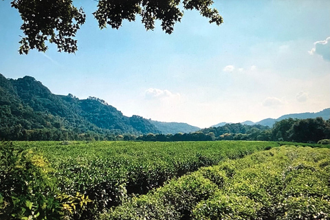 جولة خاصة شاملة كلياً في أبرز معالم مدينة شنغهايAll Inclusive Tour