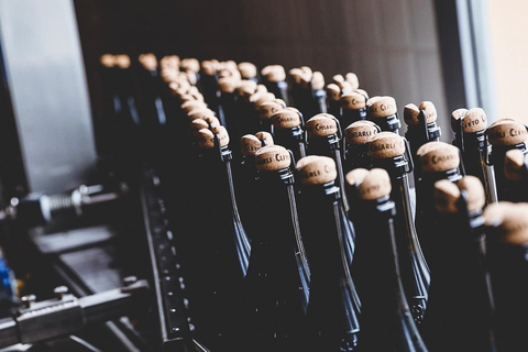 Castelvetro: winery tour and Lambrusco tasting Castelvetro: winery tour and Lambrusco tasting