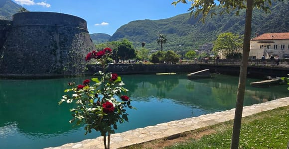 Kotor: Montenegro Highlights Day Trip with Guide