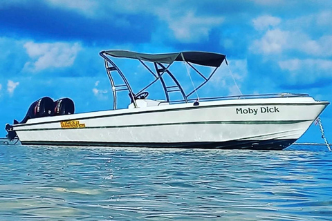 Morning at sea: Dolphins, Mauritian breakfast, natural aquarium, Cristal Rock