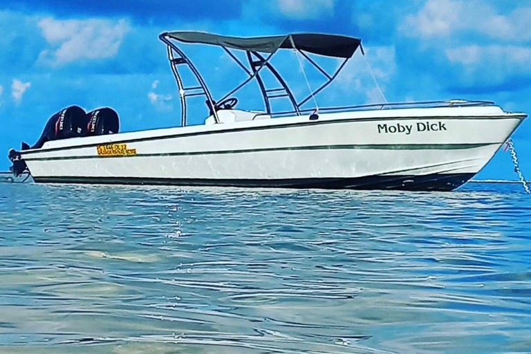 Morning at sea: Dolphins, Mauritian breakfast, natural aquarium, Cristal Rock