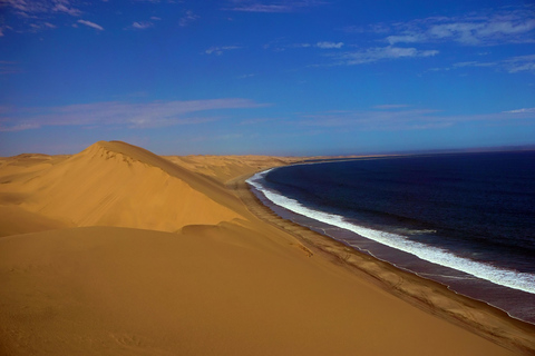 Walvis Bay: Bird Watching and Photography Tour