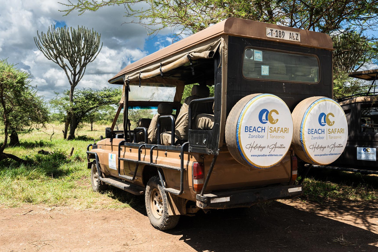 From Zanzibar: Best Day Safari Mikumi with flights and lunch