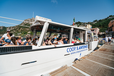 From Sorrento: Amalfi and Positano Full-Day Shared Boat Tour 9:00 AM Departure - Group Tour without Pick-Up