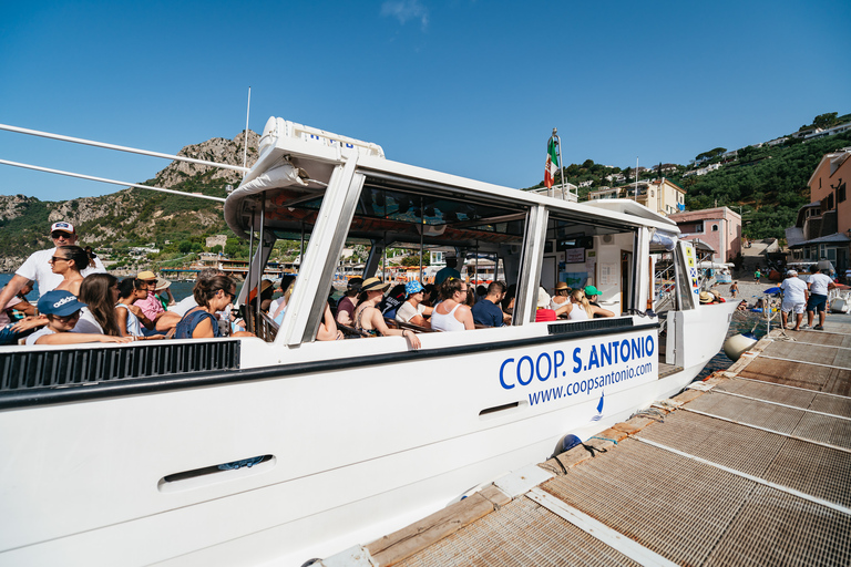 Von Sorrent: Ganztägige gemeinsame Bootstour nach Amalfi und Positano9:00 Uhr Abfahrt - Gruppentour ohne Abholung