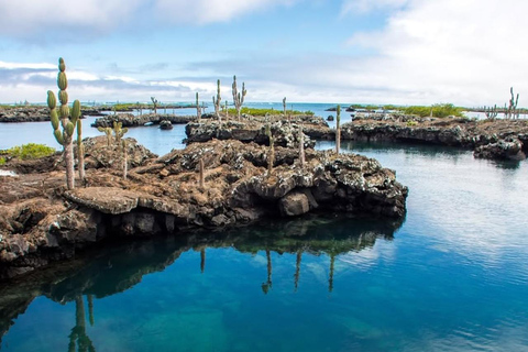 From Isabela Island: Tunnels Boat Tour and Snorkeling Trip