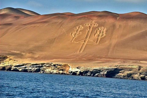 De Ica: Ilhas Ballestas + Reserva Nacional de Paracas