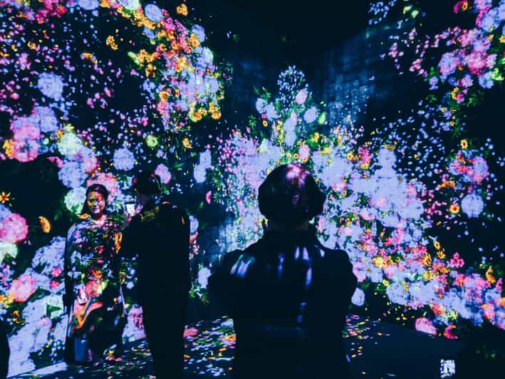 Tokyo: TeamLab Borderless & Roppongi Hills Skyline Tour