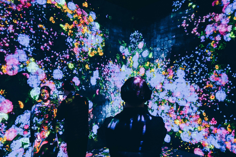 Tokyo: TeamLab Borderless & Imperial Palace History Tour