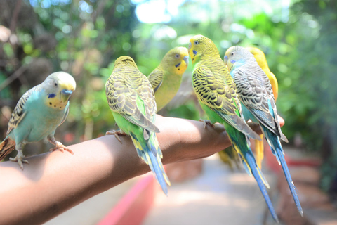 Kedah: Wildlife Park Langkawi Ticket de entradaTicket de entrada para Malasia